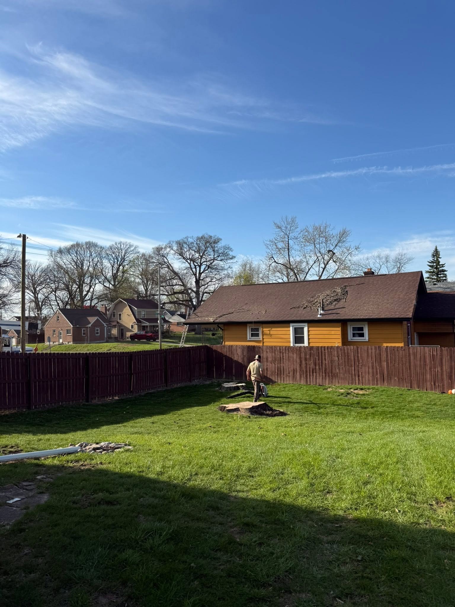 Large stump before grinding in a residential yard